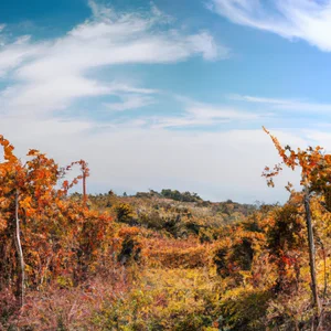 Un recorrido por Sannio: entre arte, naturaleza y excelentes vinos en Nápoles