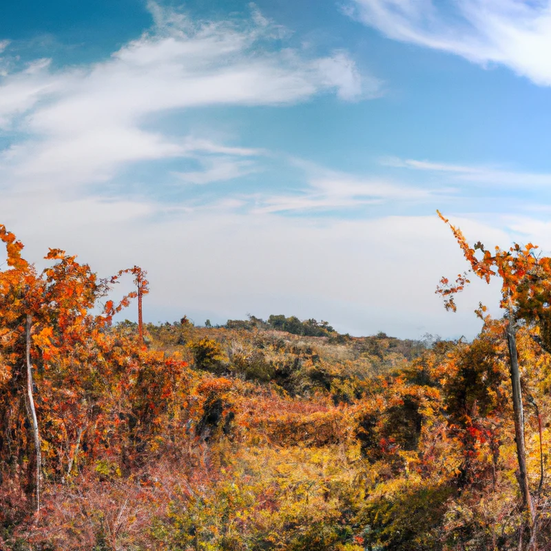 A tour of Sannio: between art, nature and excellent wines in Naples